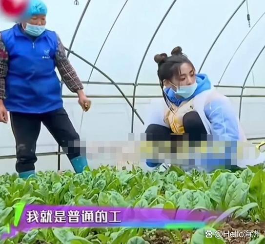薛之谦的善意审视 杨超越的工厂岁月与艺人之路